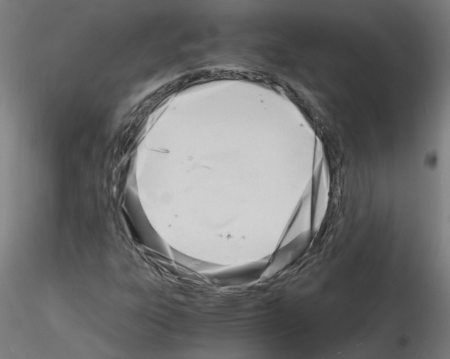 X0000116141303201001041024