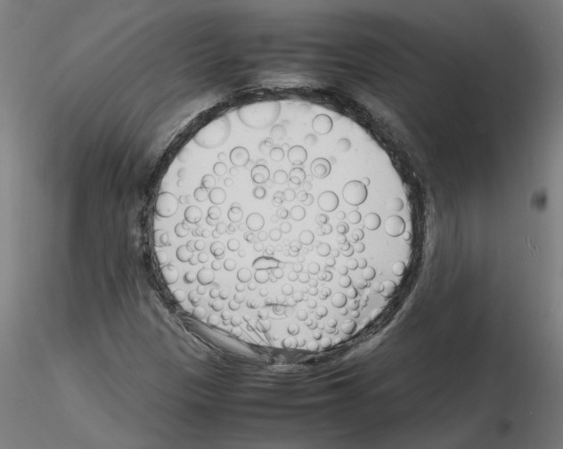 X0000116141305201001041024