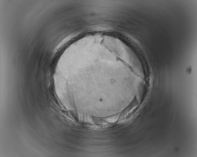 X0000116141306201001041024