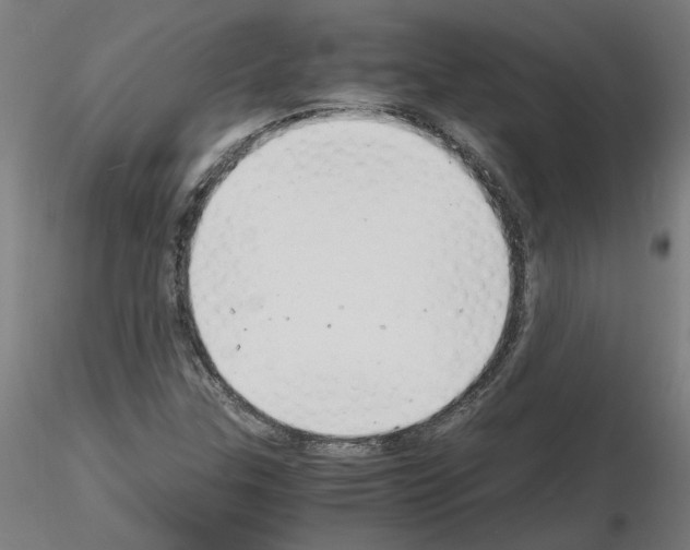 X0000116141307201001041024