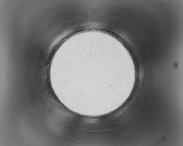 X0000116141309201001041024