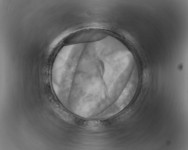 X0000116141310201001041024