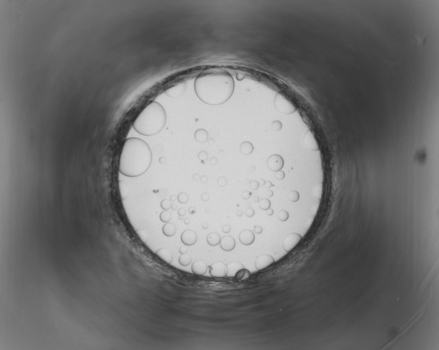 X0000116141311201001041024