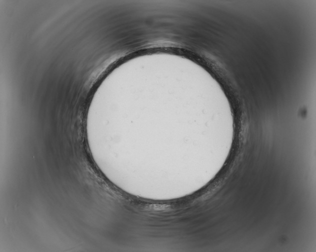 X0000116141313201001041024