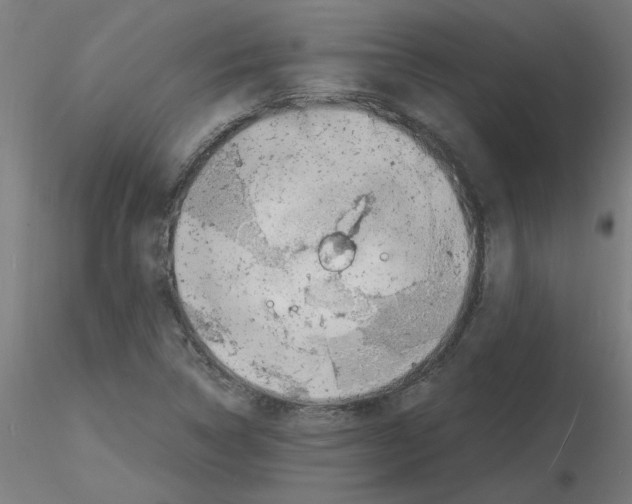 X0000116141314201001041024