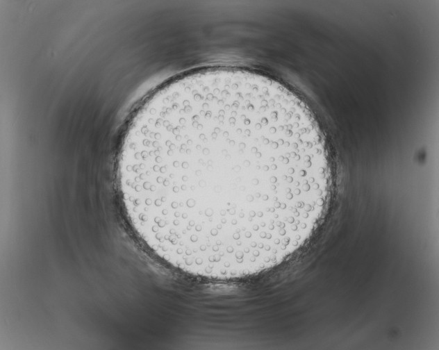 X0000116141315201001041024