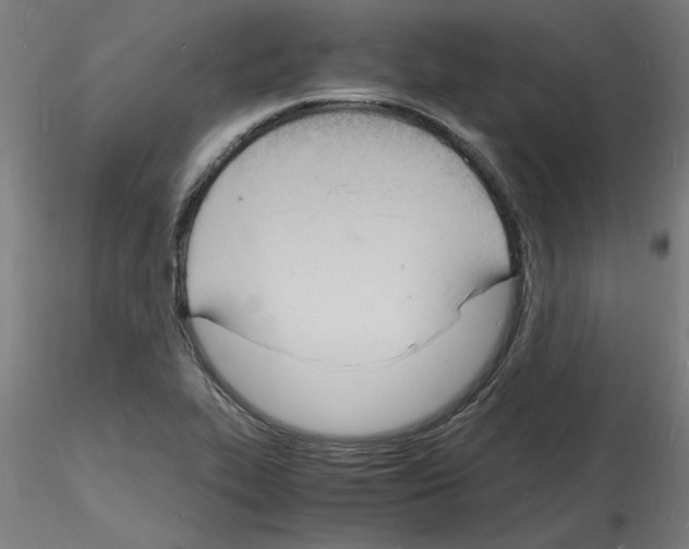 X0000116141319201001041024