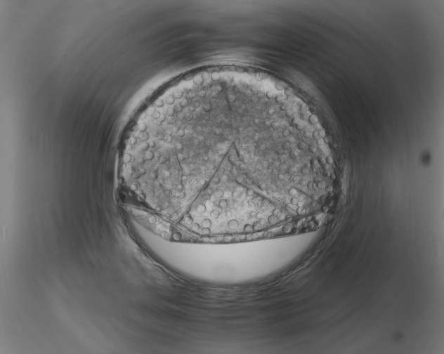 X0000116141323201001041024