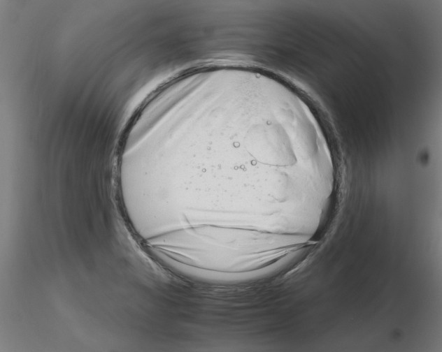 X0000116141325201001041024