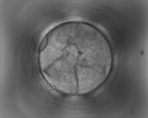 X0000116141326201001041024