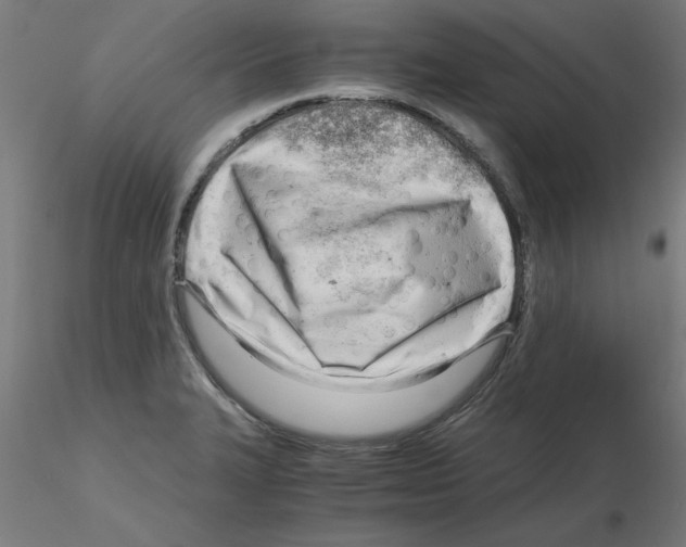 X0000116141327201001041024