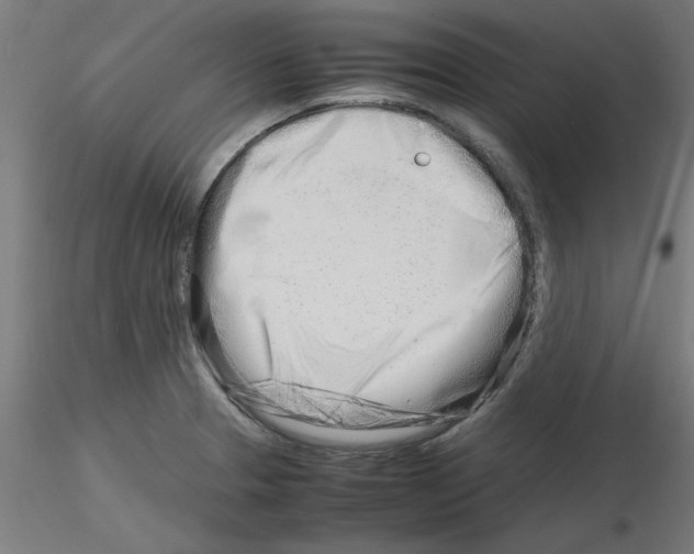 X0000116141329201001041024