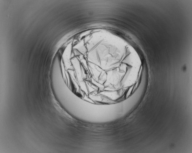 X0000116141330201001041024