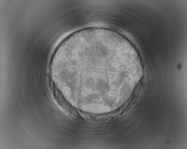 X0000116141331201001041024