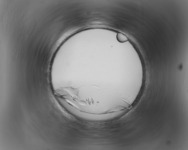 X0000116141333201001041024