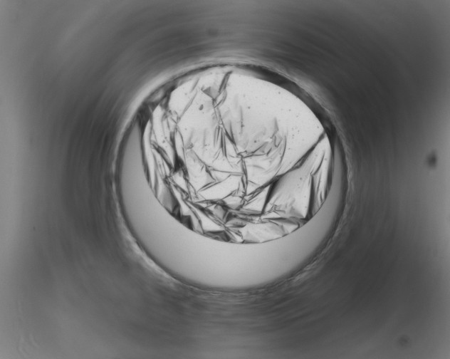 X0000116141334201001041024