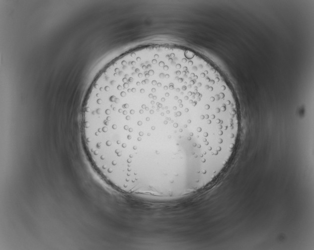 X0000116141335201001041024