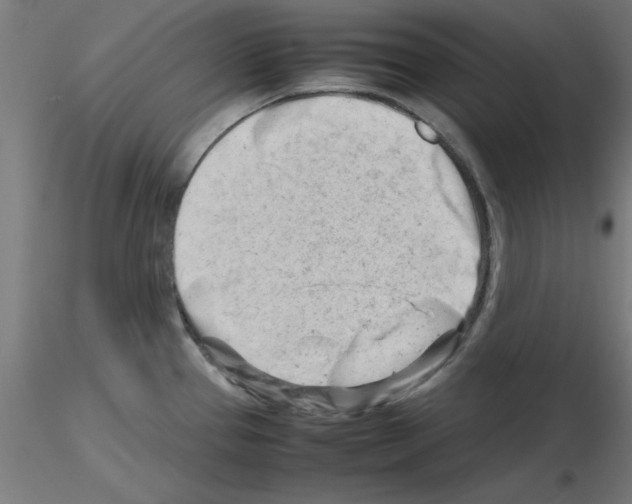 X0000116141337201001041024