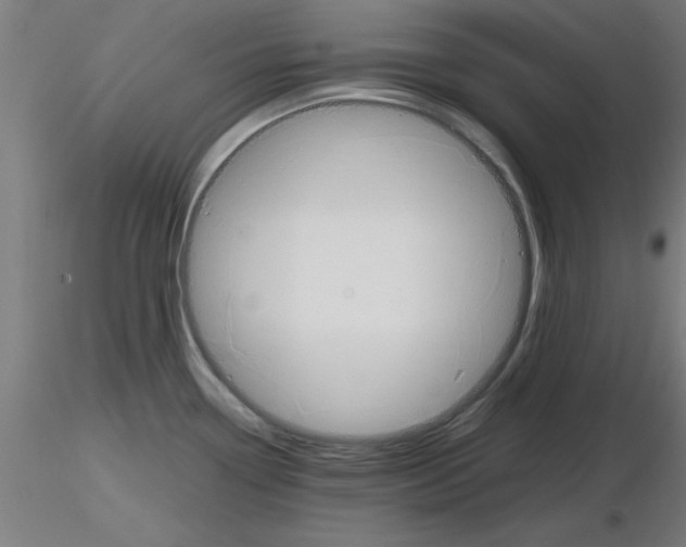 X0000116141338201001041024