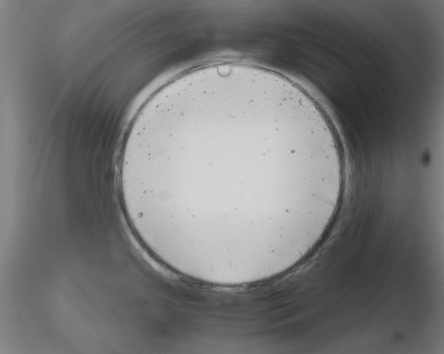 X0000116141341201001041024