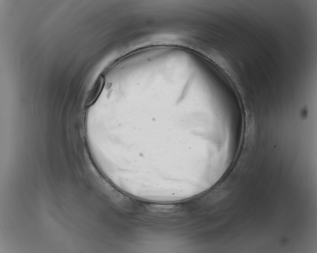 X0000116141342201001041024