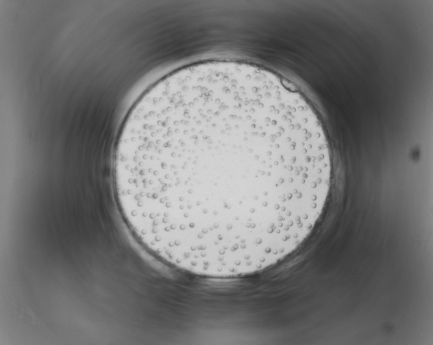 X0000116141343201001041024