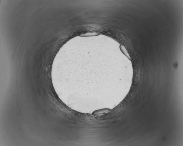 X0000116141345201001041024