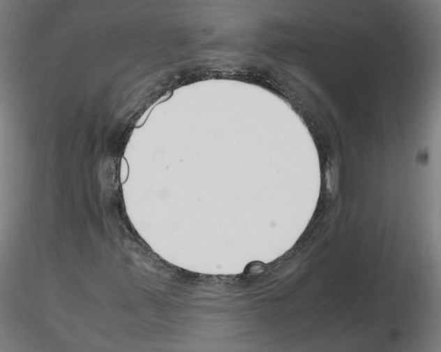 X0000116141347201001041024