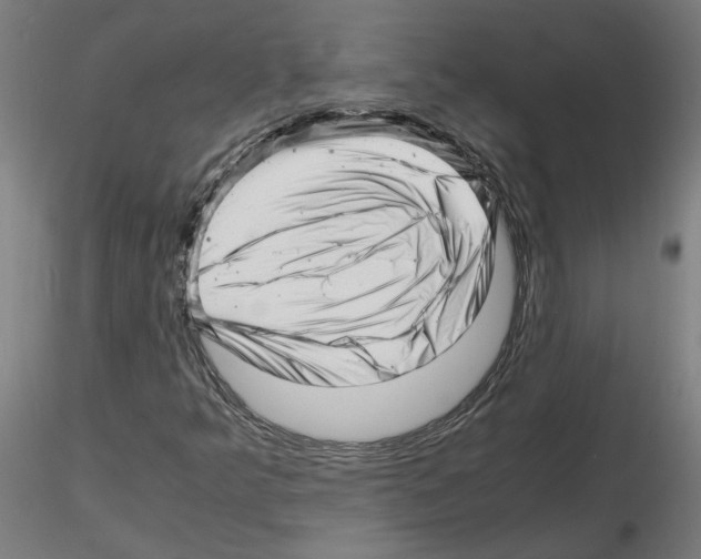 X0000116141349201001041024