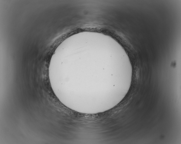 X0000116141350201001041024