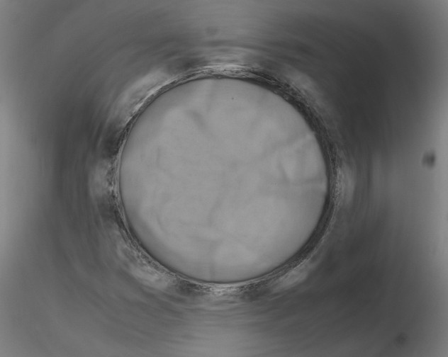 X0000116141353201001041024