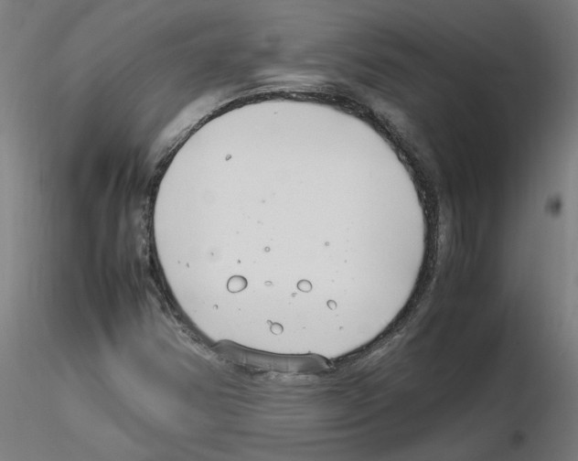 X0000116141354201001041024