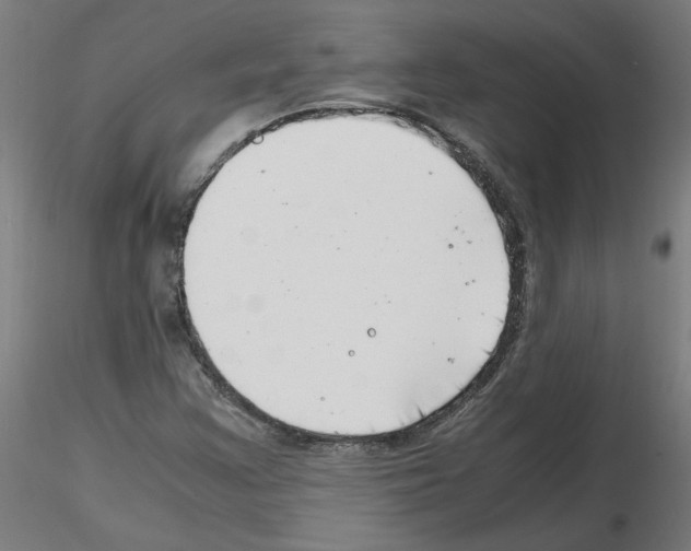 X0000116141355201001041024