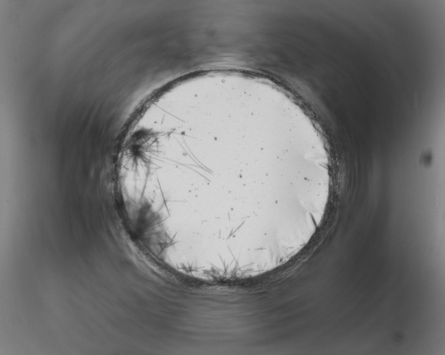 X0000116141356201001041024