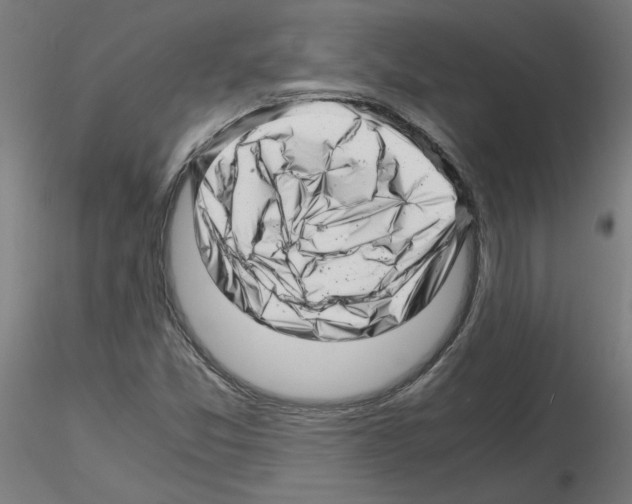 X0000116141357201001041024