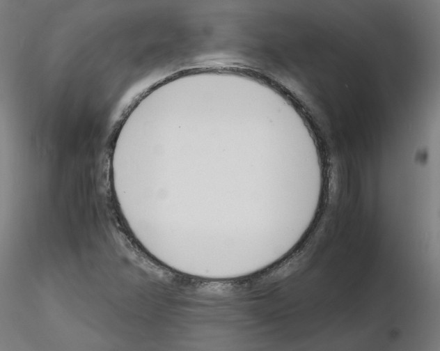 X0000116141358201001041024