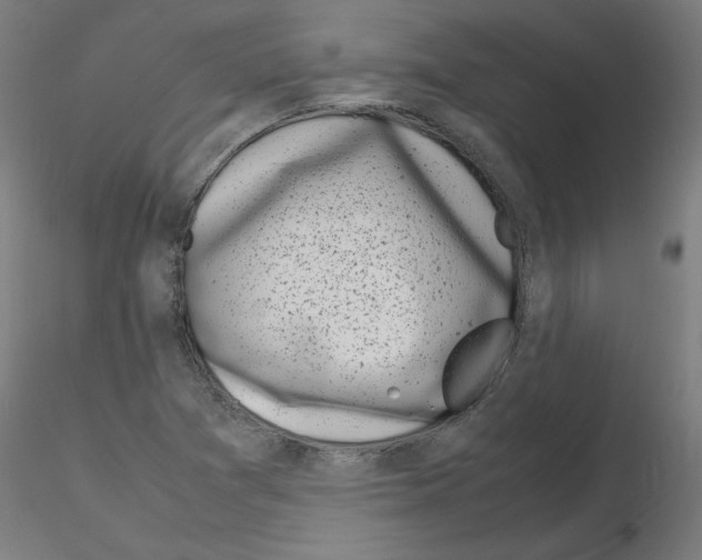 X0000116141361201001041024