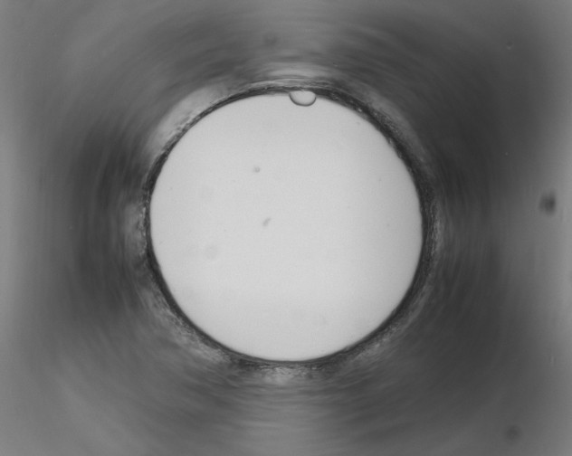 X0000116141362201001041023