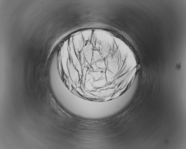 X0000116141364201001041023