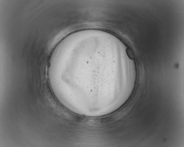 X0000116141365201001041023