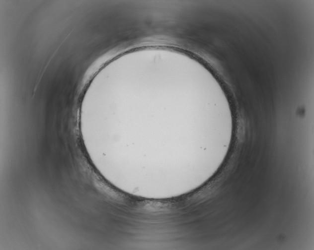 X0000116141366201001041023