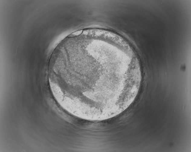 X0000116141367201001041023