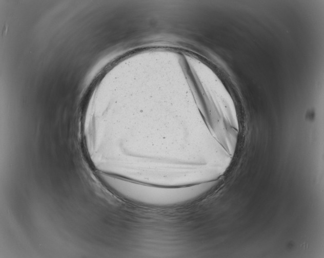 X0000116141368201001041023