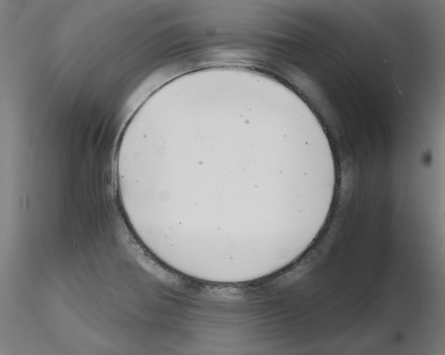 X0000116141370201001041023