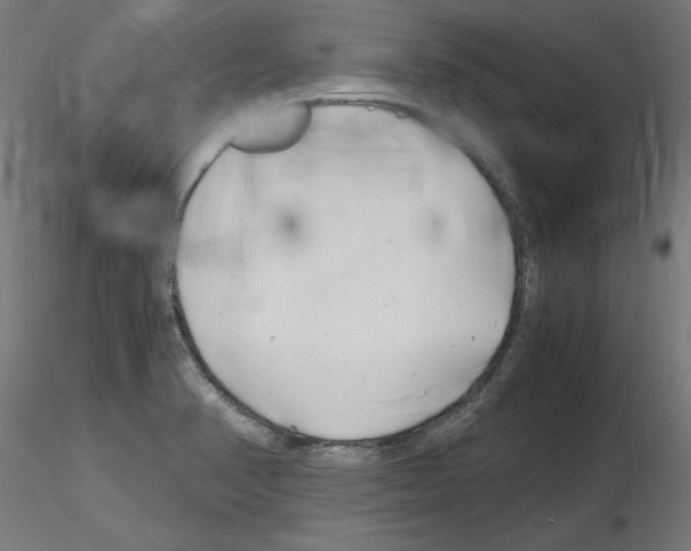 X0000116141374201001041023