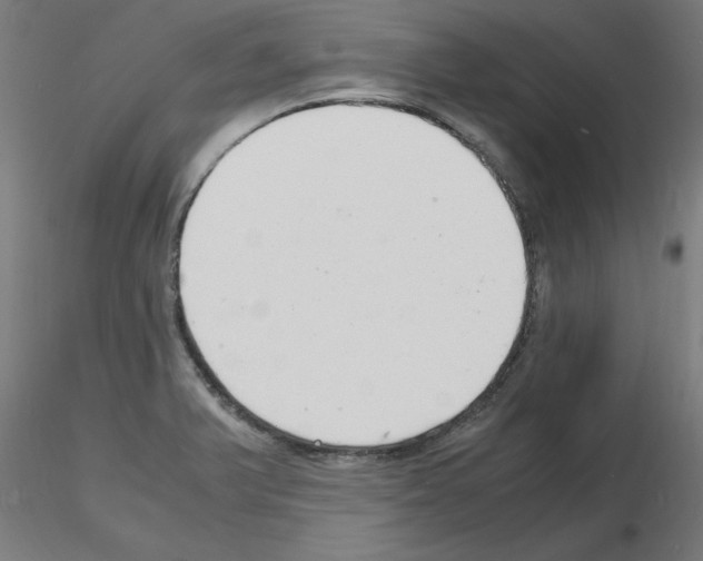 X0000116141375201001041023