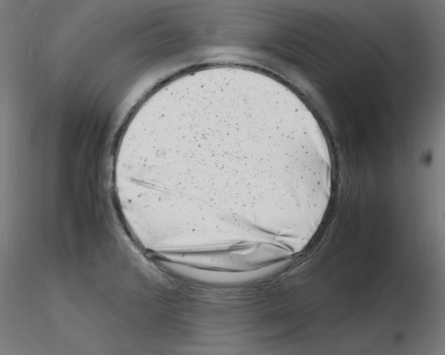 X0000116141376201001041023