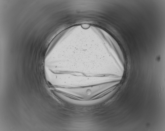 X0000116141377201001041023