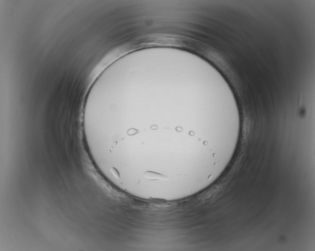 X0000116141378201001041023