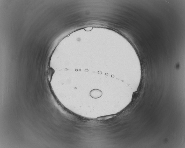 X0000116141379201001041023